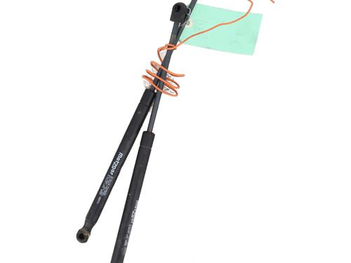 Tailgate lift support RENAULT MEGANE II (BM0/1_, CM0/1_) 1.5 dCi (BM1E, CM1E) | BP25924279C138 