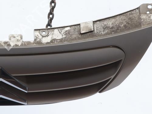 Grill CITROËN C3 I (FC_, FN_) 1.4 HDi | BP29896838C40