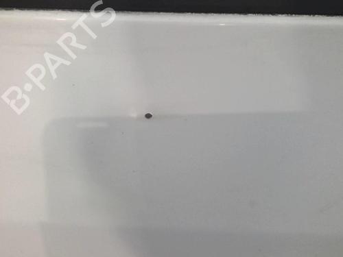Left front door FIAT SCUDO Van (220_) 1.9 D | BP20351854C2 