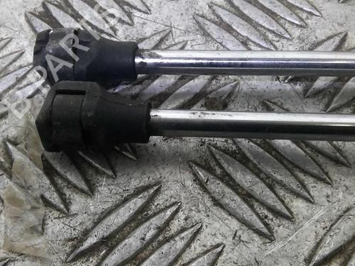 Tailgate lift support CITROËN EVASION MPV (22, U6) 1.9 TD | BP20727366C138 