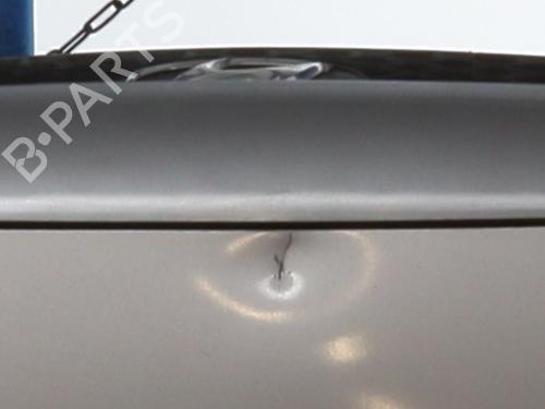 Hood HYUNDAI SANTA FÉ I (SM) 2.0 CRDi 4x4 | BP21520995C1 