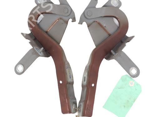 hingedoor-check-strap-renault-clio-iv-bh_-2012-2013-2014-2015-2016-2017-2018-2019-2020-2021-34336676 main image