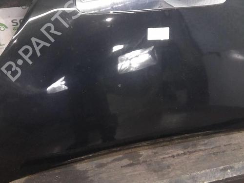 Used Hood LANCIA MUSA (350_) 1.9 D Multijet (350.AXC1A) (101 hp) 22004724
