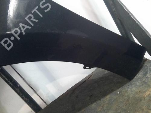 Left front fenders RENAULT LAGUNA III (BT0/1) 1.5 dCi (BT00, BT0A, BT0T, BT1J) | BP20355982C41 