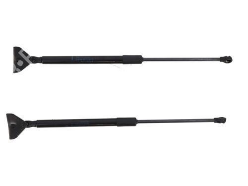 Used Tailgate lift support RENAULT SCENIC E-TECH PHASE I EV87 (218 hp) 22005555