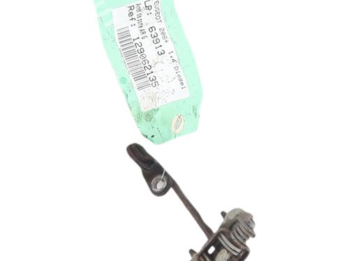 hingedoor-check-strap-peugeot-206-2l_-2m_-2009-2010-2011-2012-2013-37246244 main image