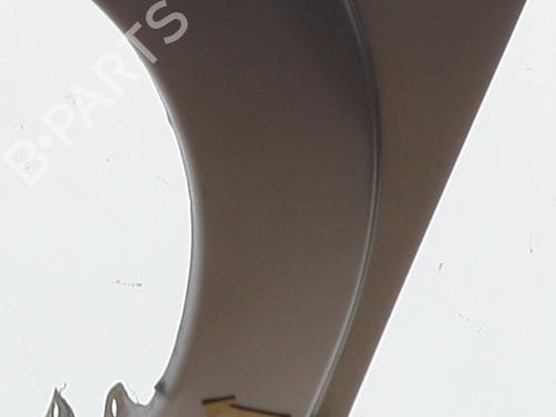 Left front fenders CITROËN C3 I (FC_, FN_) 1.4 HDi | BP22748914C41 
