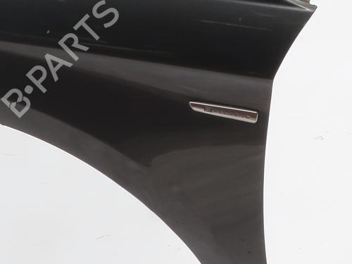 Left front fenders CITROËN C4 II (NC_) 1.6 HDi 115 | BP30362152C41