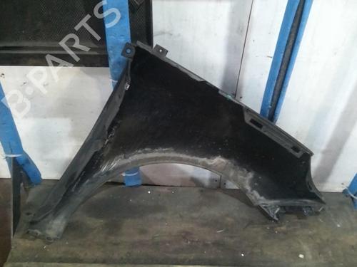 Left front fenders RENAULT SCÉNIC III (JZ0/1_) 1.5 dCi | BP20359128C41 