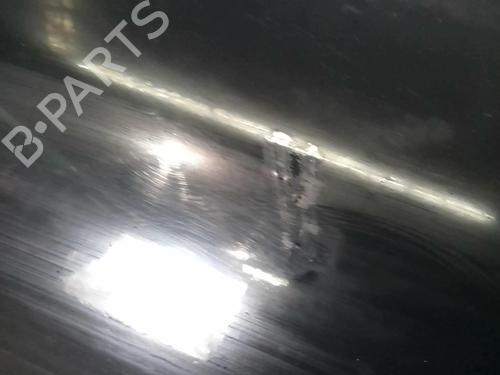 Right front door PORSCHE CAYENNE (9PA) S 4.5 | BP20369501C3 