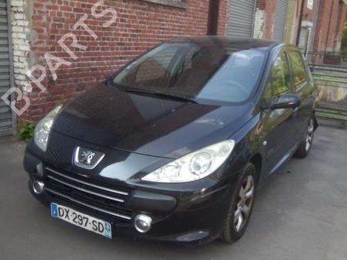 Right front door PEUGEOT 307 (3A/C) 1.6 HDi | BP22002034C3 