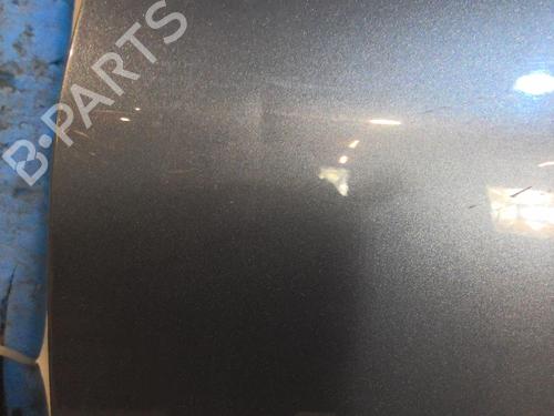 Left front door PEUGEOT 206+ (2L_, 2M_) 1.4 HDi eco 70 | BP20358415C2 
