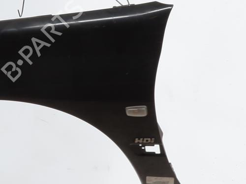 Left front fenders PEUGEOT 406 (8B) 2.0 HDI 110 | BP28005737C41 