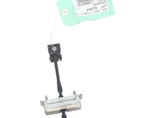 Hinge/Door check strap OPEL CORSA D (S07) 1.0 (L08, L68) | BP31604173C146 