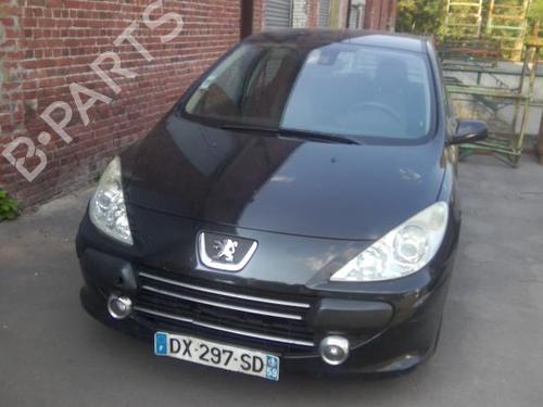 Right front door PEUGEOT 307 (3A/C) 1.6 HDi | BP22002034C3 