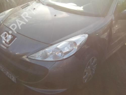 Right front door PEUGEOT 206+ (2L_, 2M_) 1.1 | BP22002772C3