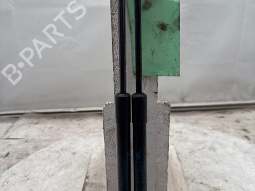 tailgate-lift-support-renault-twingo-ii-cn0_-2007-37189289 main image