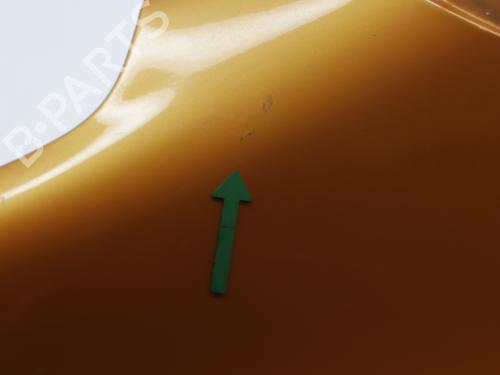 Left front fenders PEUGEOT 1007 (KM_) 1.4 | BP28570733C41 