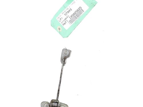 hingedoor-check-strap-dacia-sandero-ii-2012-25343725 main image