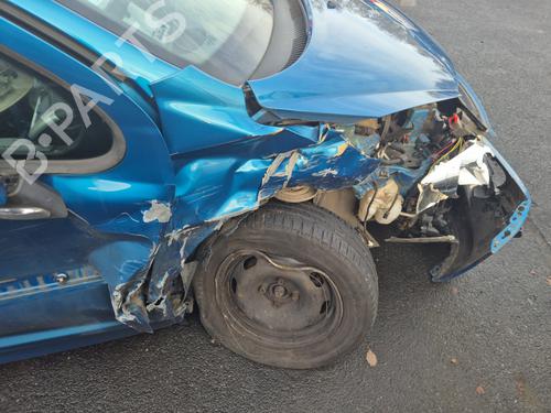 Left front door PEUGEOT 207 (WA_, WC_) 1.4 | BP31961506C2 