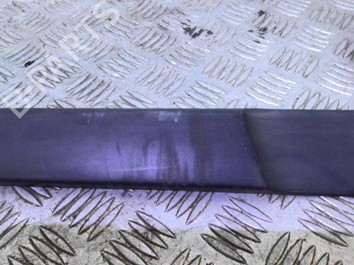 Used Door moulding trim RENAULT SCÉNIC II (JM0/1_) 1.5 dCi (JM02, JM13) (101 hp) 20354048
