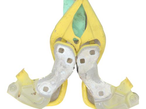 hingedoor-check-strap-fiat-500-312_-2007-33945512 main image