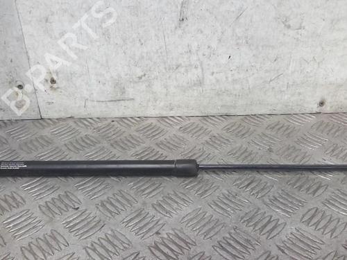 Tailgate lift support PEUGEOT 208 I (CA_, CC_) 1.4 HDi | BP20727478C138 
