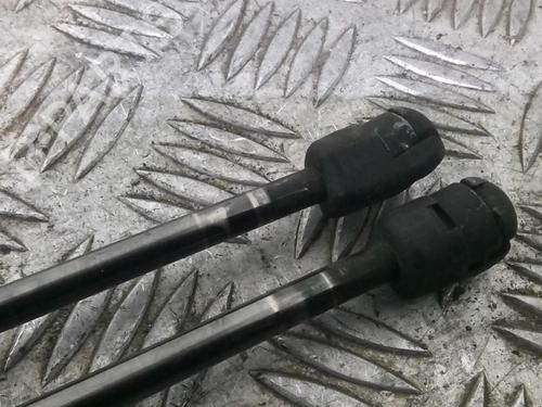 Used Tailgate lift support FORD S-MAX (WA6) 2.0 TDCi (140 hp) 21555541