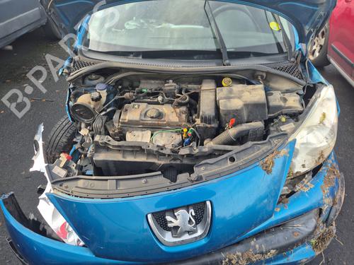 Left front door PEUGEOT 207 (WA_, WC_) 1.4 | BP31961506C2 