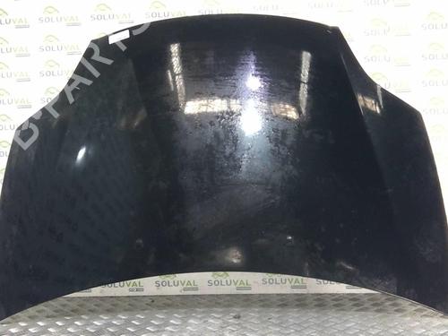 Used Hood FIAT BRAVO II (198_) 1.6 D Multijet (198AXH1B) (105 hp) 22001884