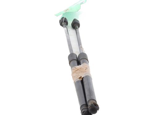 Tailgate lift support CITROËN C4 II (NC_) 1.6 HDi 115 | BP30362184C138