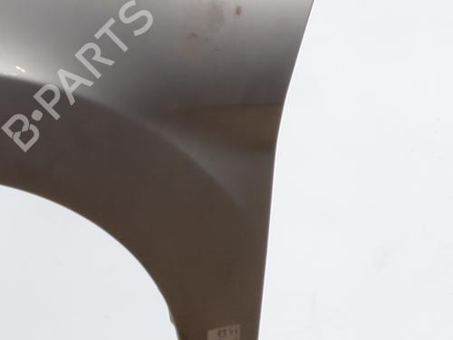 Left front fenders FORD FIESTA VI (CB1, CCN) 1.4 TDCi | BP28113365C41 
