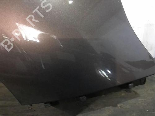Right front fenders RENAULT SCÉNIC III (JZ0/1_) 1.9 dCi (JZ0J, JZ1J, JZ1K, JZ1S) | BP20365881C42 