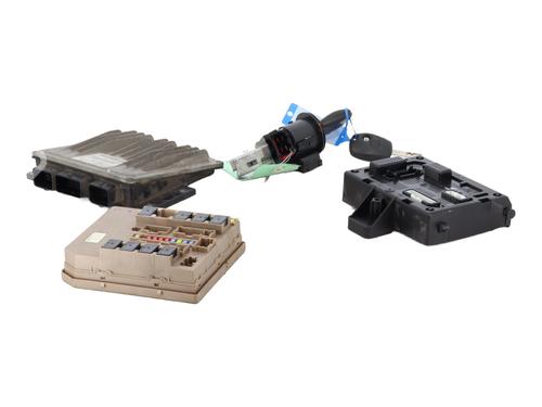 Used Electronic module RENAULT CLIO III (BR0/1, CR0/1) 1.5 dCi (C/BR0G, C/BR1G) (68 hp) 29600365