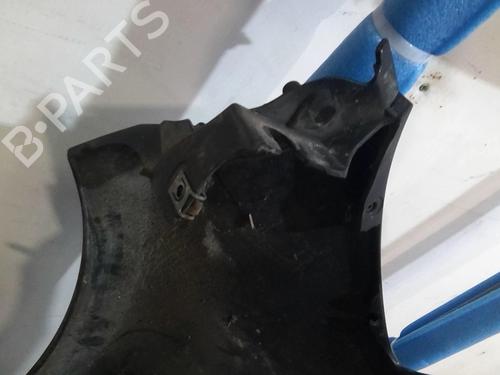 Right front fenders RENAULT CLIO III (BR0/1, CR0/1) 1.5 dCi (BR0H, CR0H, CR1S, BR1S) | BP20366429C42 