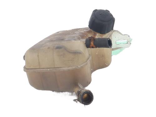 Used Expansion tank RENAULT SCÉNIC II (JM0/1_) 1.5 dCi (JM0F) (82 hp) 24212980