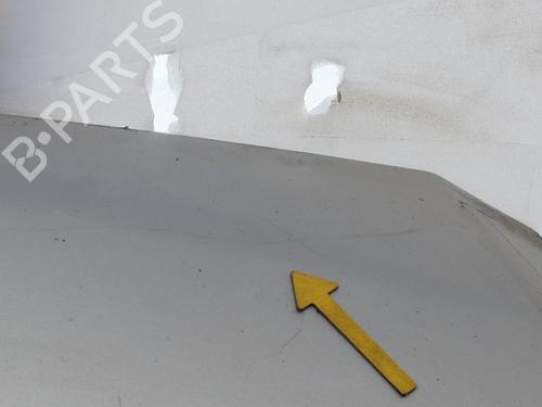 Hood FORD FOCUS II (DA_, HCP, DP) 1.6 TDCi | BP23788680C1 