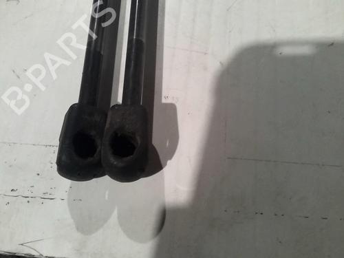 Tailgate lift support CITROËN C4 Picasso I MPV (UD_) 1.6 HDi | BP21556445C138 