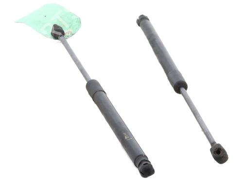 Tailgate lift support AUDI A1 (8X1, 8XK) 1.6 TDI | BP29560177C138 