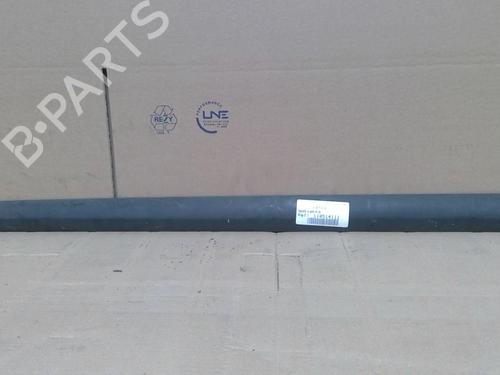  Baguette de porte PEUGEOT 207 (WA_, WC_) 1.4 HDi (68 hp) 28130478
