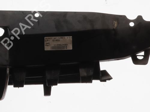 Grill PEUGEOT 307 (3A/C) 2.0 HDi 110 | BP29744573C40 