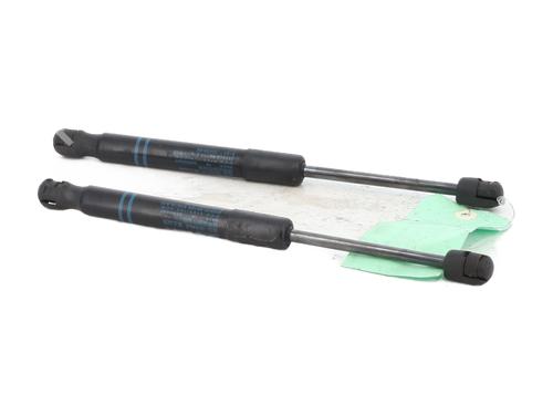 hood-lift-support-bmw-1-f21-2011-2012-2013-2014-2015-2016-2017-2018-2019-30261788 main image