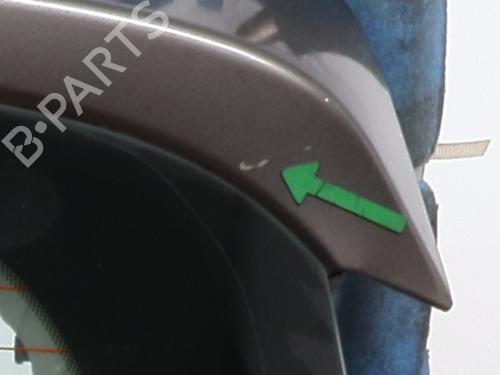 Tailgate RENAULT SCÉNIC III (JZ0/1_) 1.5 dCi | BP26508766C6 