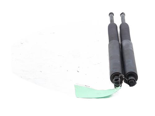 tailgate-lift-support-bmw-5-touring-f11-2009-2010-2011-2012-2013-2014-2015-2016-2017-31723776 main image