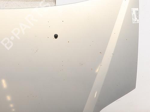 Used Hood Hood RENAULT SCÉNIC I MPV (JA0/1_, FA0_) 1.6 (JA00, JA16, JA15, JA19, JA1V, JA2B, JA2C, JA0B,... (107 hp) 40240128 40240128