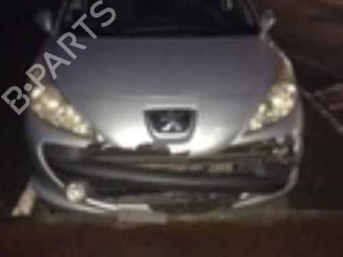 Left rear door PEUGEOT 207 (WA_, WC_) 1.4 HDi | BP20352551C4 