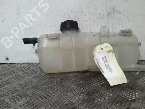 expansion-tank-renault-zoe-bfm_-zoe-nt-2012-20727439 main image
