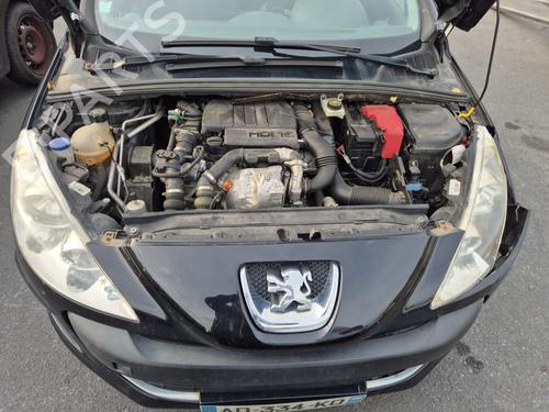 Hinge/Door check strap PEUGEOT 308 I (4A_, 4C_) 1.6 HDi | BP30715656C146