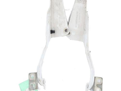 Hinge/Door check strap RENAULT KANGOO Express (FW0/1_) 1.5 dCi 90 (FW0G, FW05, FW08, FW11) | BP31723759C146 