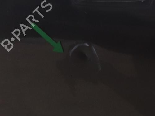 Left front door PEUGEOT 207 (WA_, WC_) 1.4 HDi | BP22002761C2 